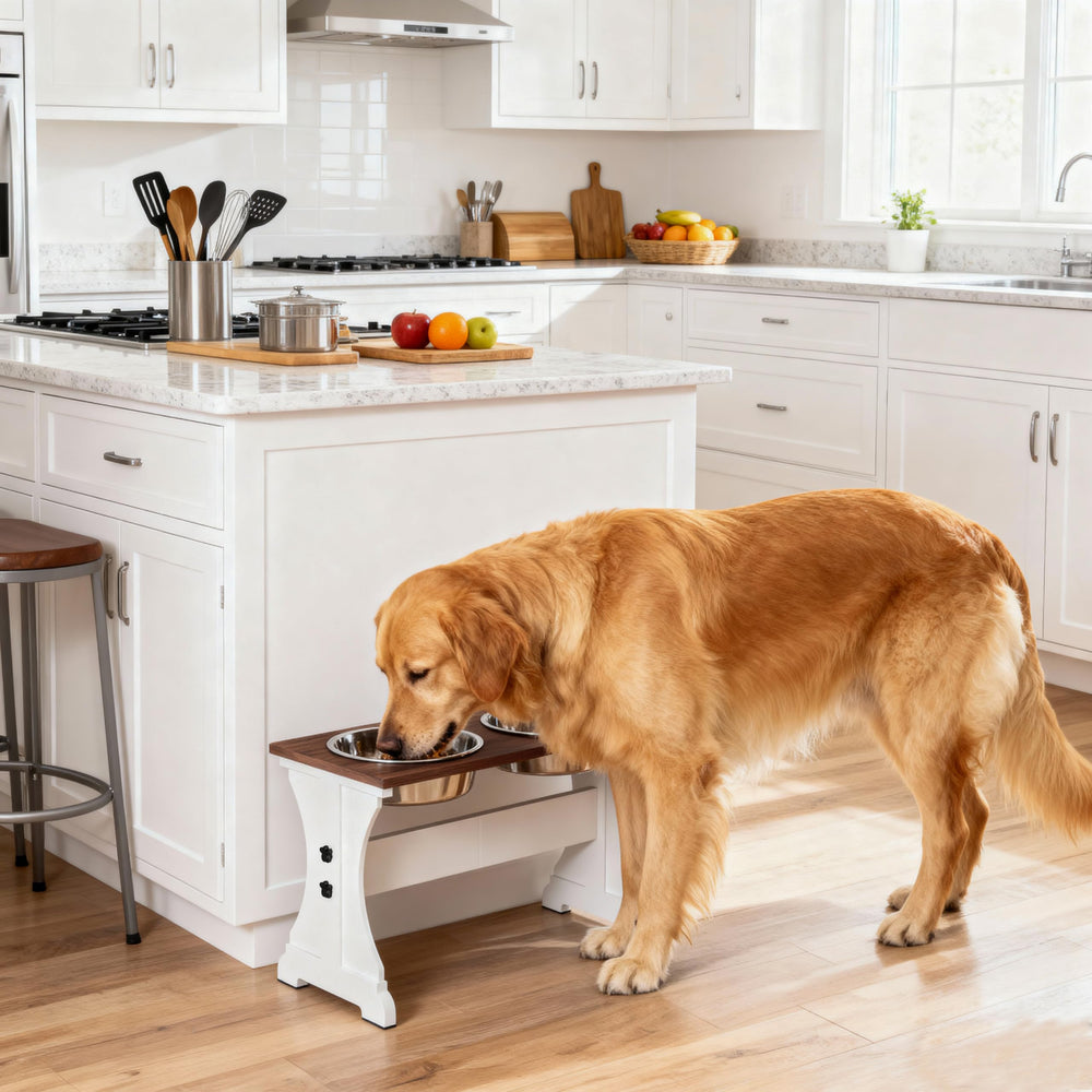 Piskyet elevated feeding set enhances mealtime for pets in a home