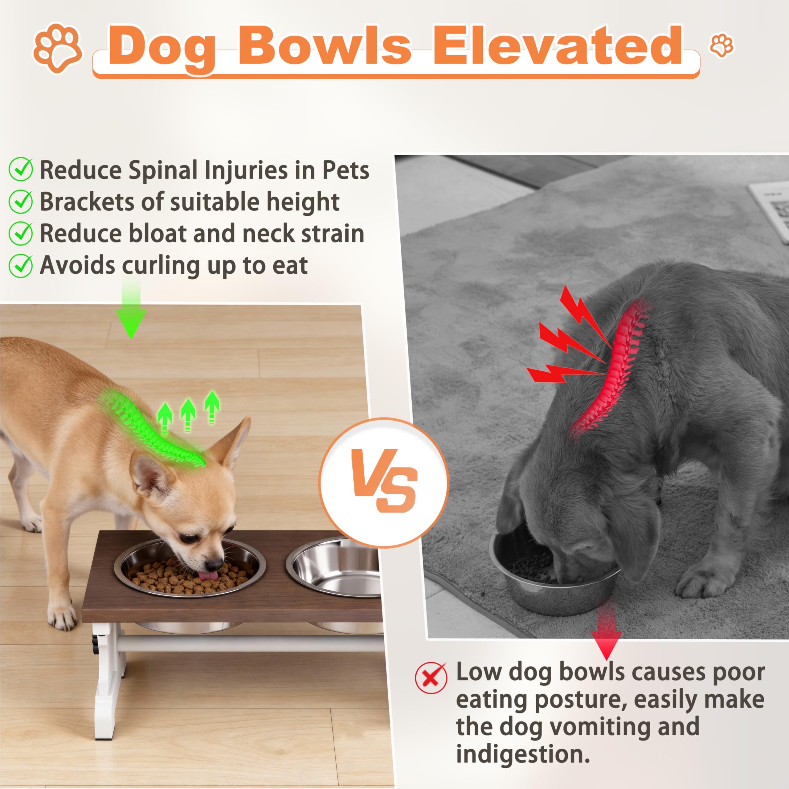 Piskyet elevated bowls reduce neck strain during meals.