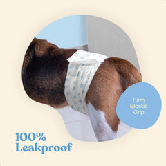 PitPet Fur-friendly fasteners secure the diaper gently.