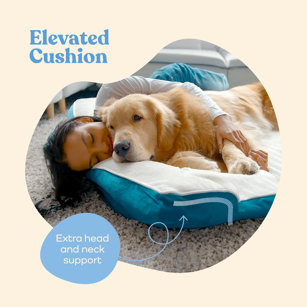 Pitpet removable cover makes cleaning the bed quick and easy.