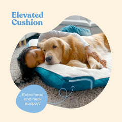 Pitpet removable cover makes cleaning the bed quick and easy.