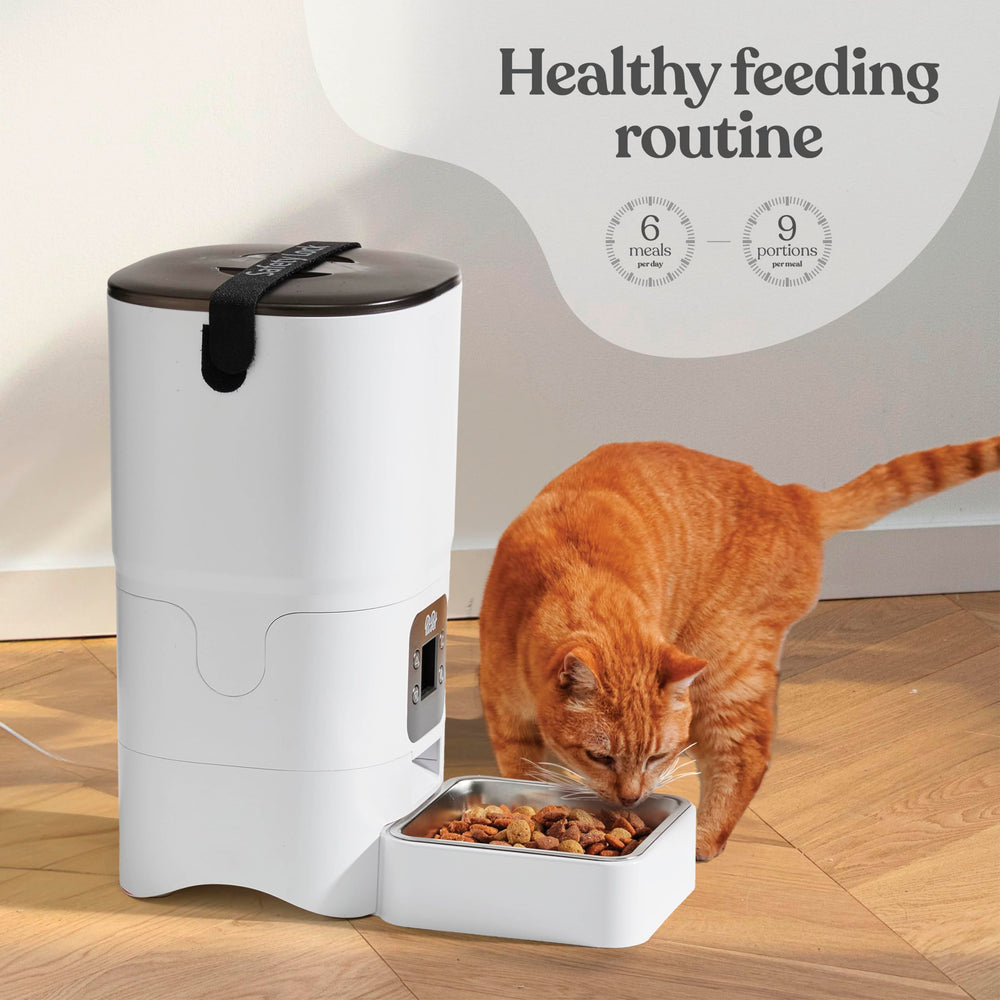Pitpet feeder top-lock keeps pets out while preserving fresh kibble.