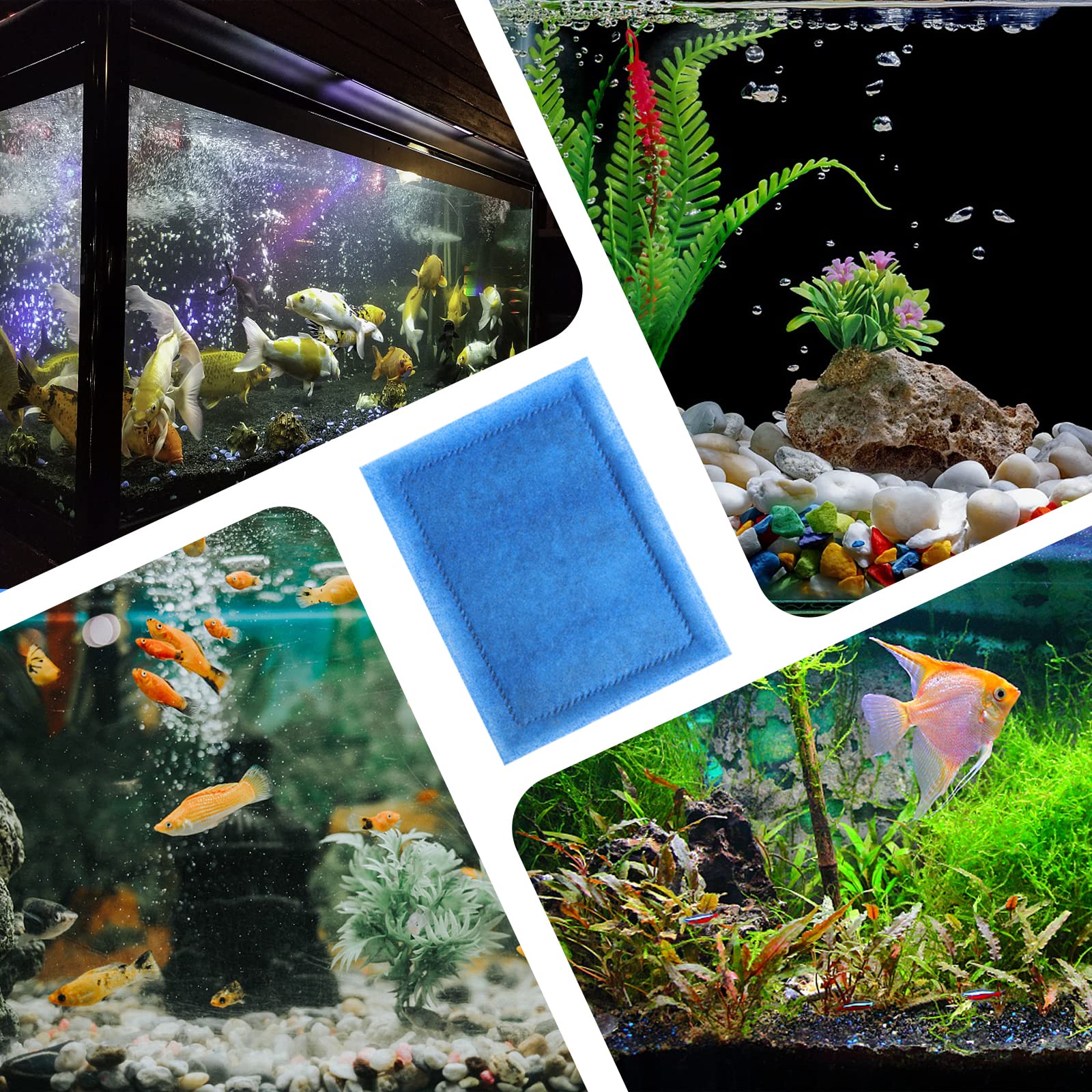 Piwerod EZ-Change 2 in-use filtration delivering steady water clarity.