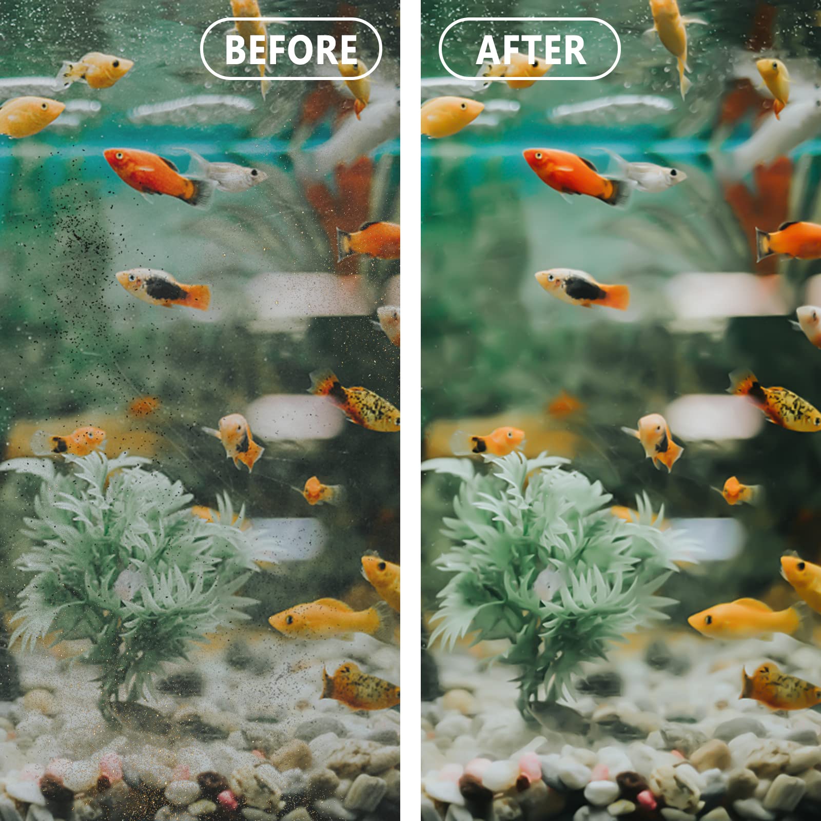 Piwerod EZ-Change 2 suggests 2-4 week replacement for optimal performance.