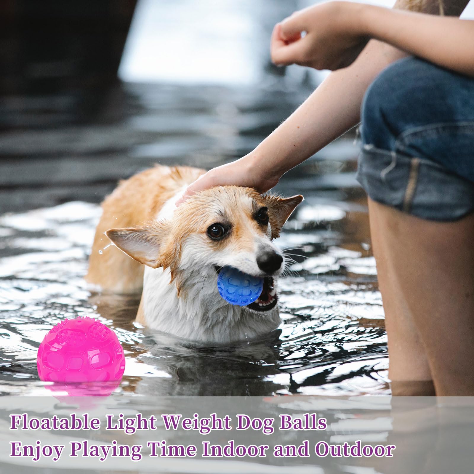 PJDH 3 inch blue squeaky ball durable chew toy for strong chewers.