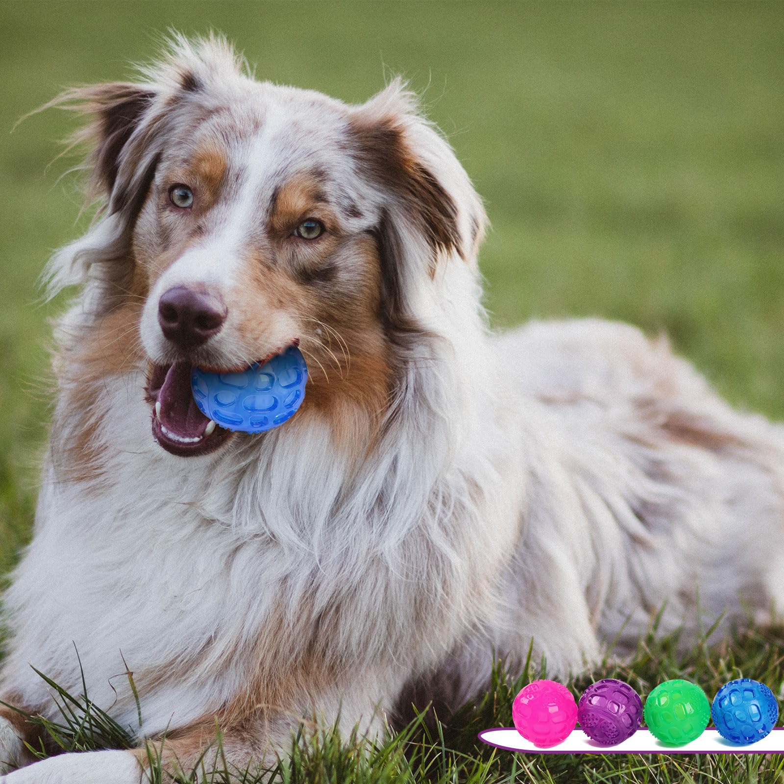 PJDH 3 inch squeaky ball detail shows tough material for long lasting use.