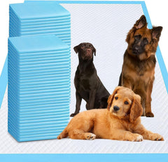 PJYRTOQ ultra-absorbent 12g core puppy pad absorbs spills quickly, ideal for training.