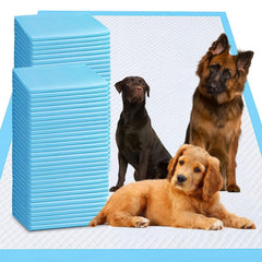 PJYRTOQ XXXL puppy pee pad 36x36 pack protects floors during training.