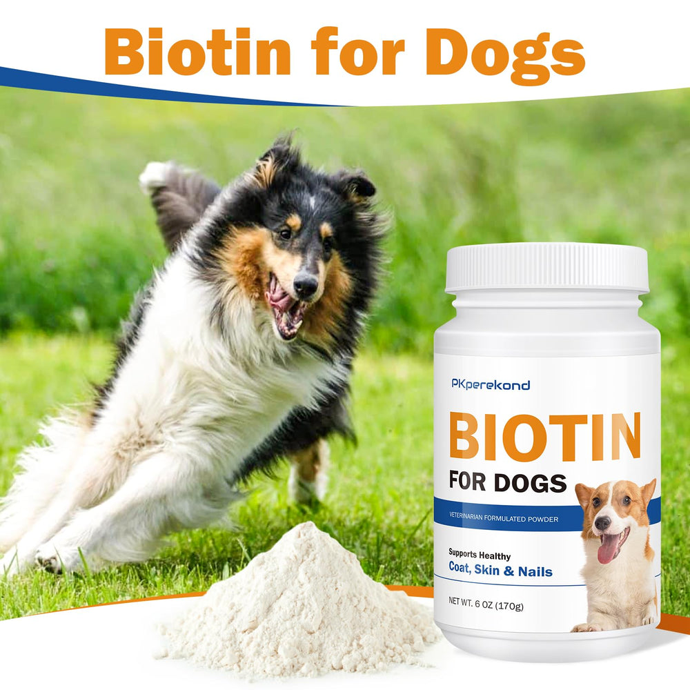 PKperekond Biotin for Dogs outdoor adventure image supports active dogs.