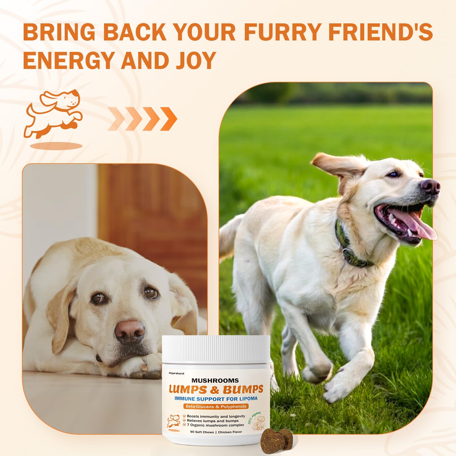 PKperekond dog immunity and energy with beta-glucans chews
