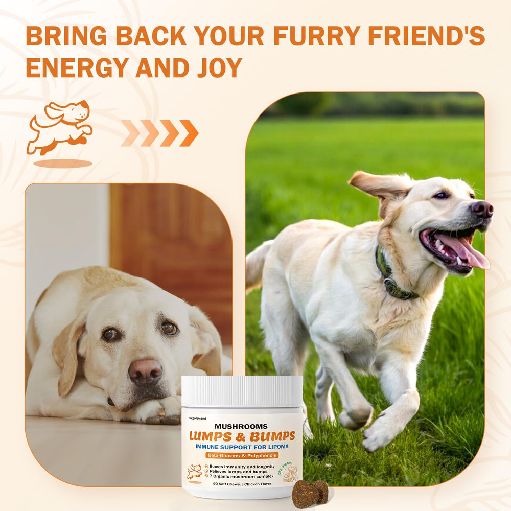 PKperekond dog immunity and energy with beta-glucans chews