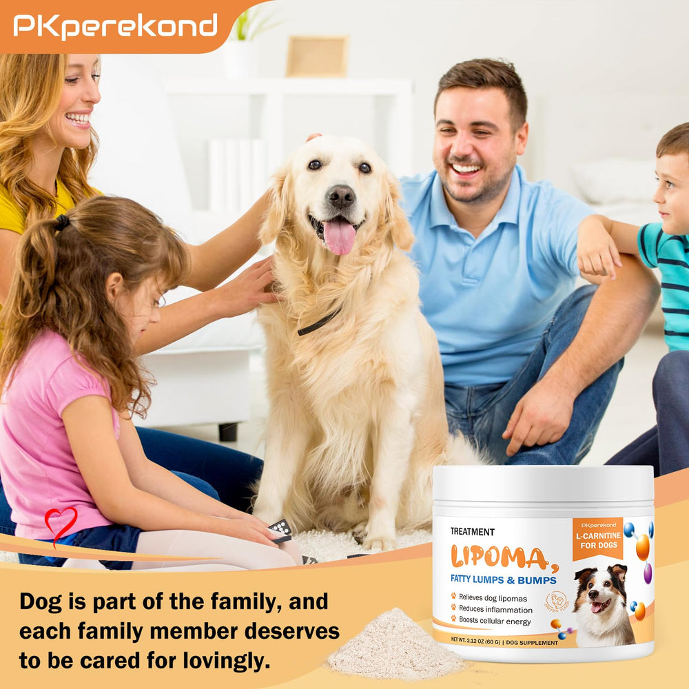 PKperekond dog mobility support: supports comfortable movement during walks and play