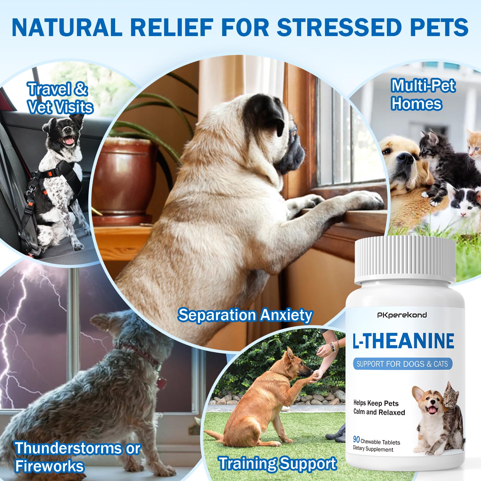 PKperekond L-Theanine for dogs in a calm, relaxed pose.