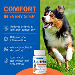 PKperekond large-dog aspirin tablets beside a leash on packaging.