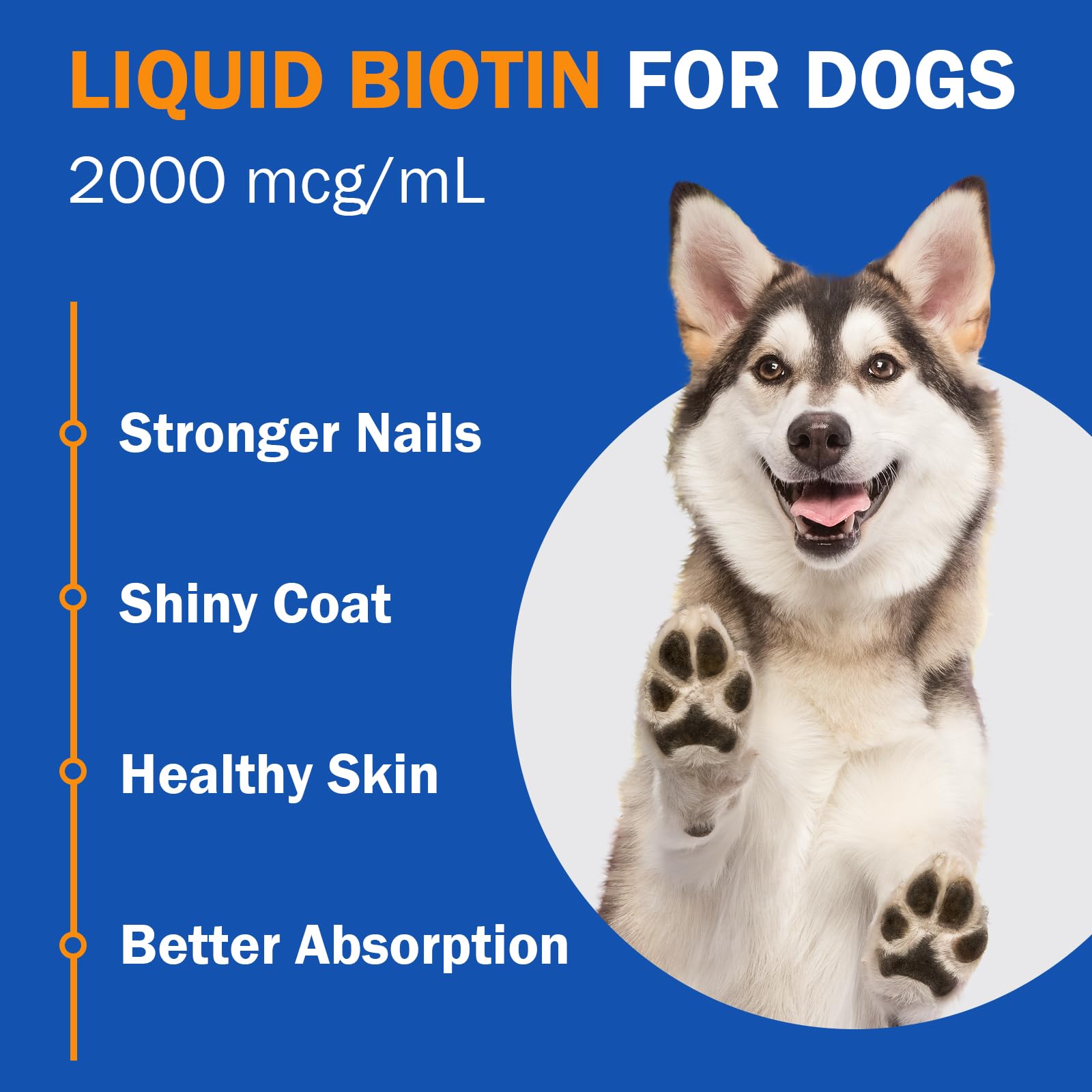 PKperekond biotin dropper for dogs enables easy dosing and absorption