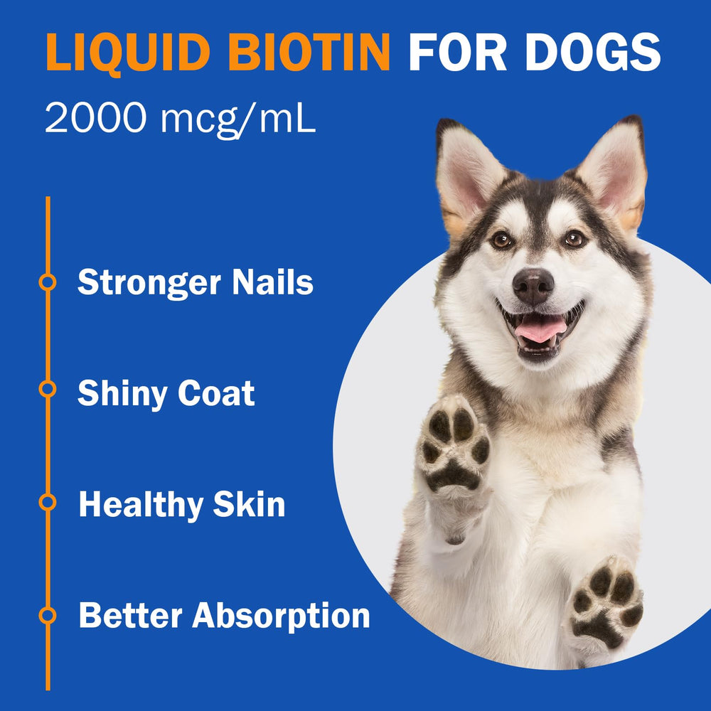 PKperekond biotin dropper for dogs enables easy dosing and absorption