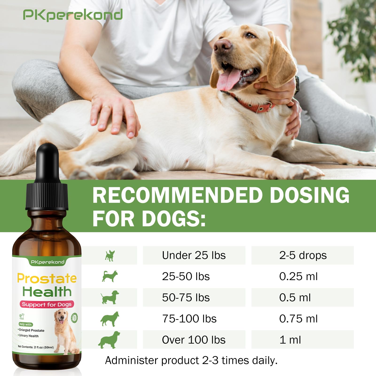 Supports immune and lymphatic wellness for senior dogs