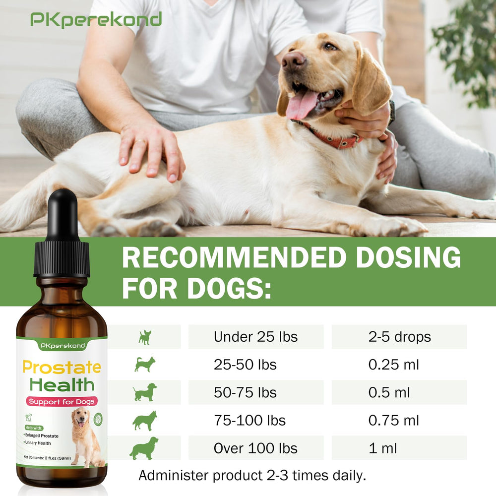 Supports immune and lymphatic wellness for senior dogs