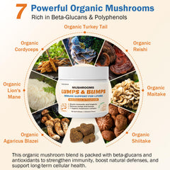 PKperekond reishi mushroom chews for dogs supporting overall wellness