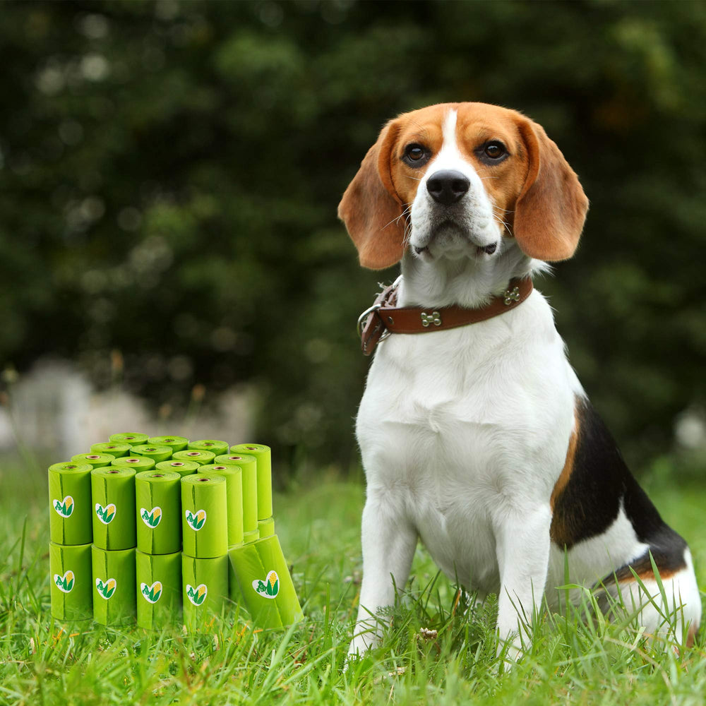 Pkpoo plastic-free packaging emphasizing sustainability