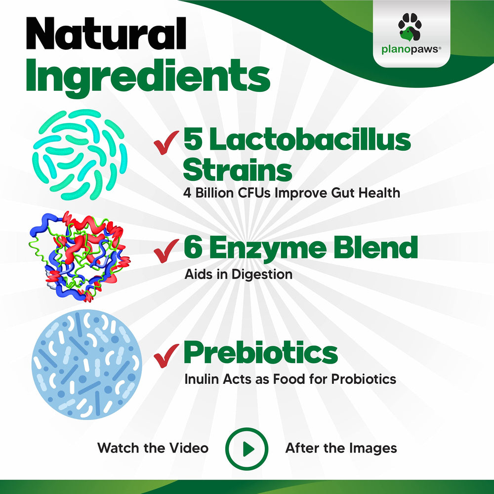 Planopaws 120-chews bottle promo showing dog probiotic supplement for gut support
