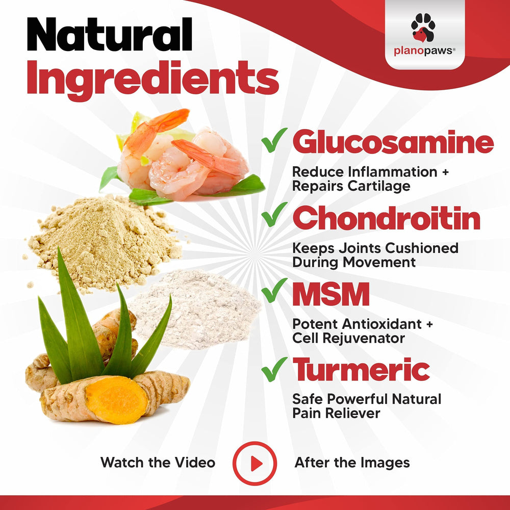 Plano Paws ActivTreats eight active ingredients for premium joint health