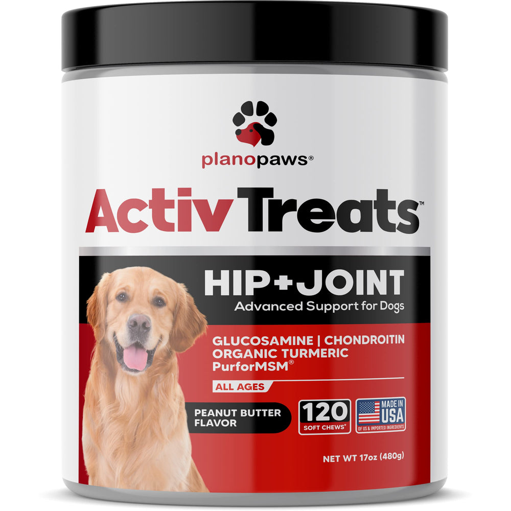 Plano Paws ActivTreats dog enjoying chew with palatable joint relief