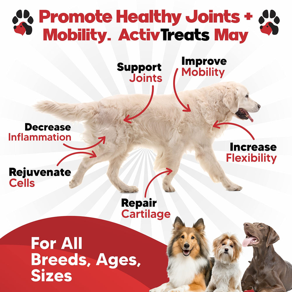 Plano Paws ActivTreats peanut butter chews close-up for palatable joint support
