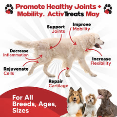 Plano Paws ActivTreats peanut butter chews close-up for palatable joint support