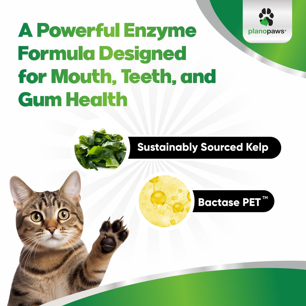 Planopaws Cat Dental Care Powder packaging label highlighting natural ingredients