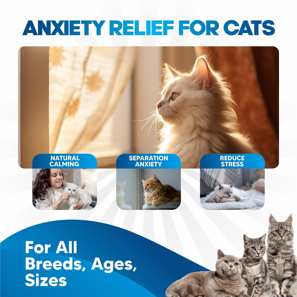 Planopaws liquid calm drops application demonstrates easy direct administration to your cat.