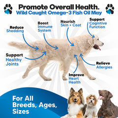 Plano Paws liquid pump dispensing omega-3 for easy dog meal feeding.