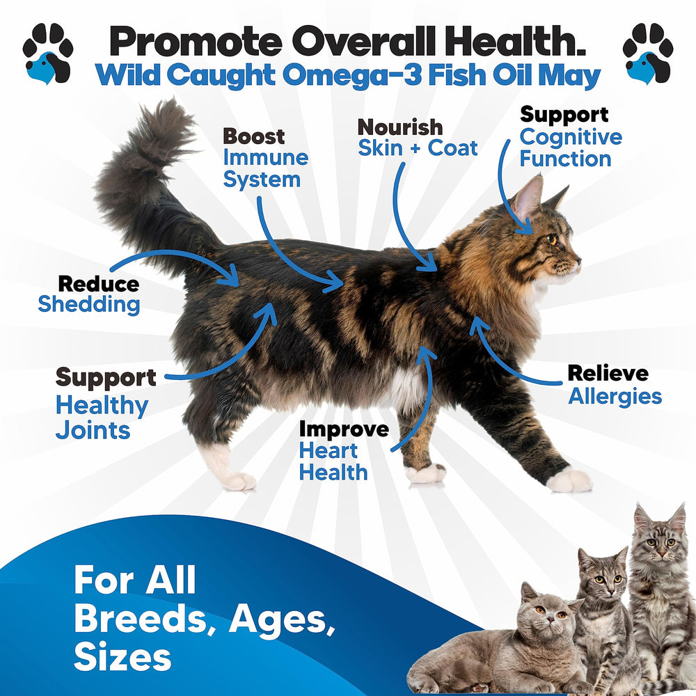 Planopaws Omega 3 for cats ready to drip on food for skin and coat support