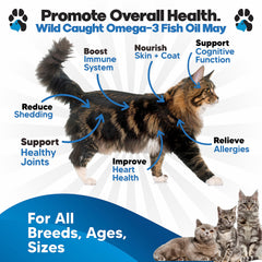 Planopaws Omega 3 for cats ready to drip on food for skin and coat support