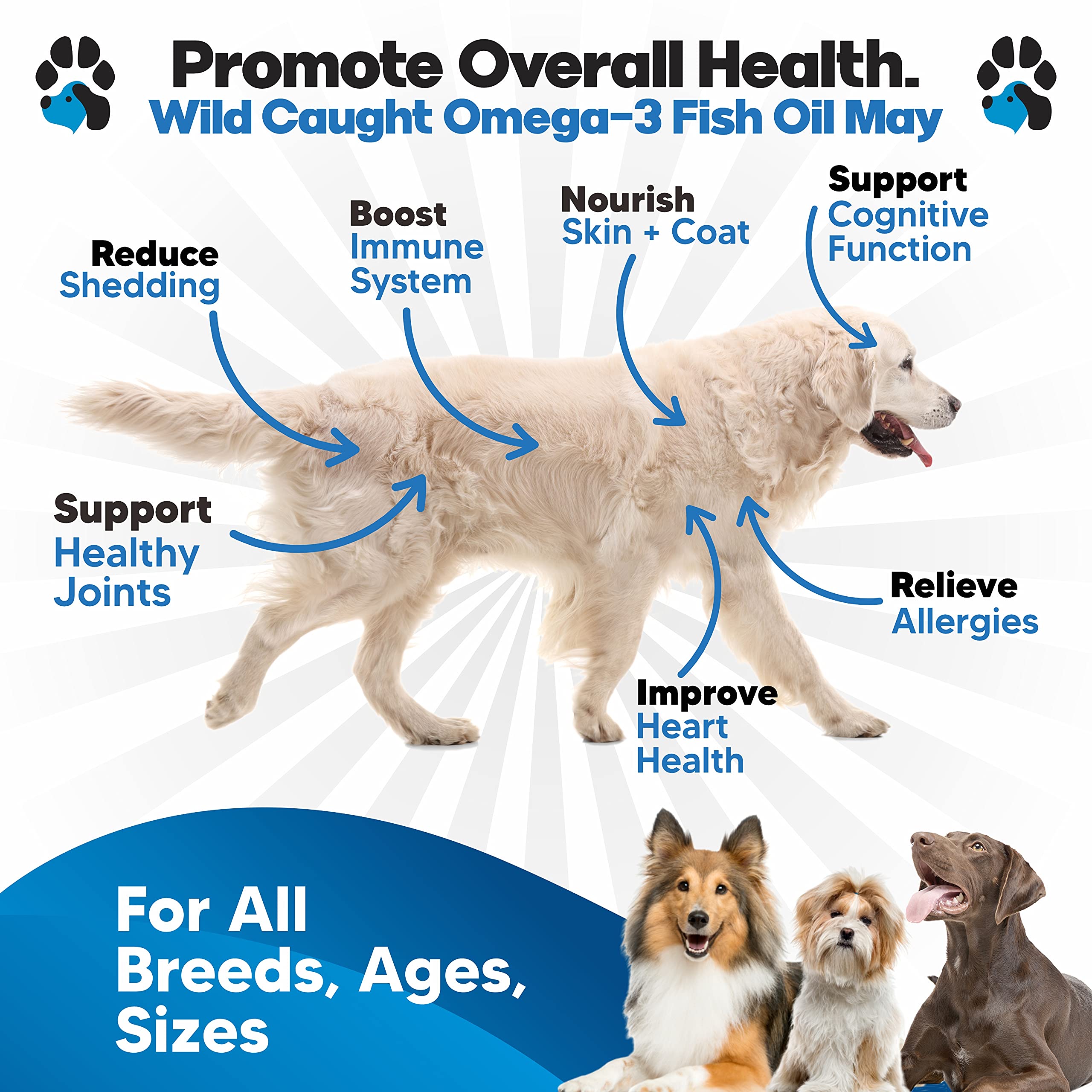 Planopaws Omega 3 pump dispense shows easy dosing for dogs of all sizes