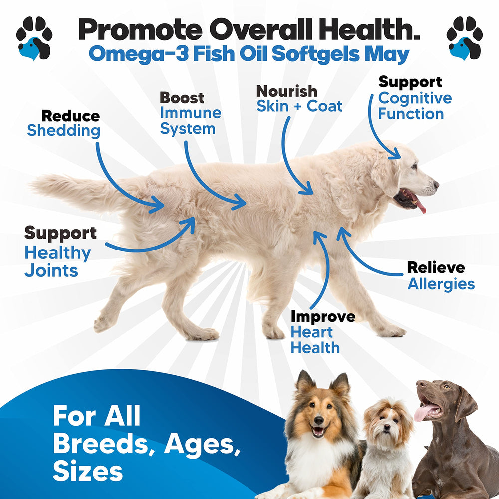 Planopaws salmon oil softgels on food for convenient dosing.