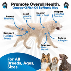 Planopaws salmon oil softgels on food for convenient dosing.