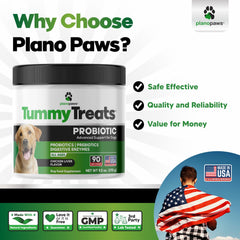 Planopaws soft chews for dogs served as tasty daily supplement