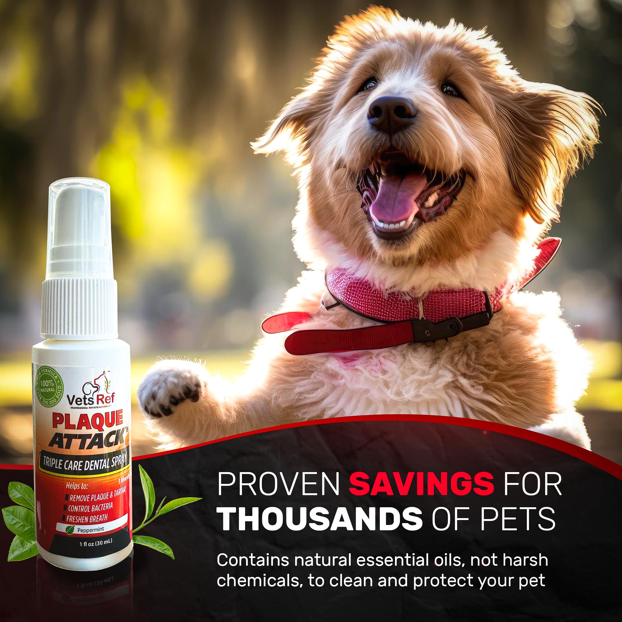 Plaque Attack Pet Dental Spray used on a cat for oral freshness