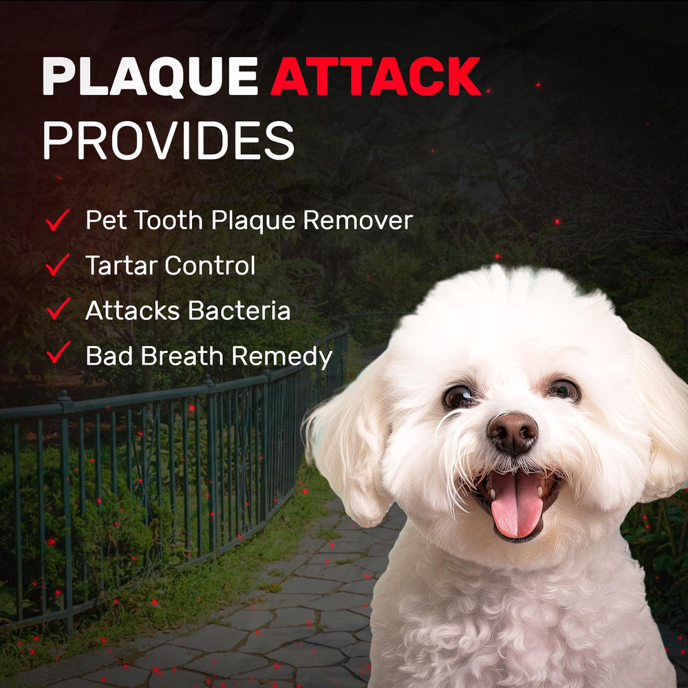 Plaque Attack dental spray contents and peppermint scent shown for easy use