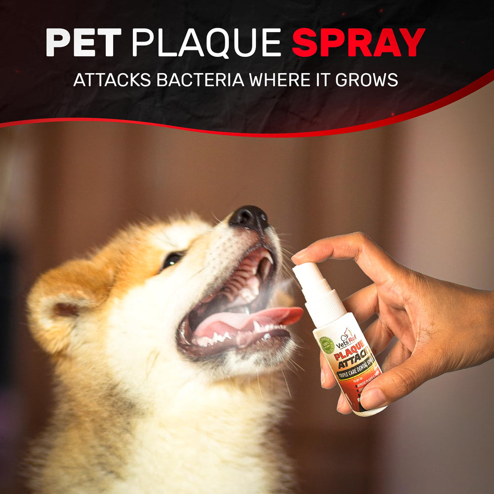 Plaque Attack Pet Dental Spray being applied to a dog's teeth for maintenance