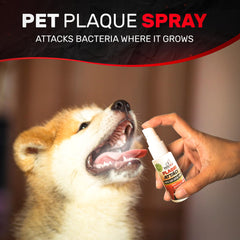 Plaque Attack Pet Dental Spray being applied to a dog's teeth for maintenance