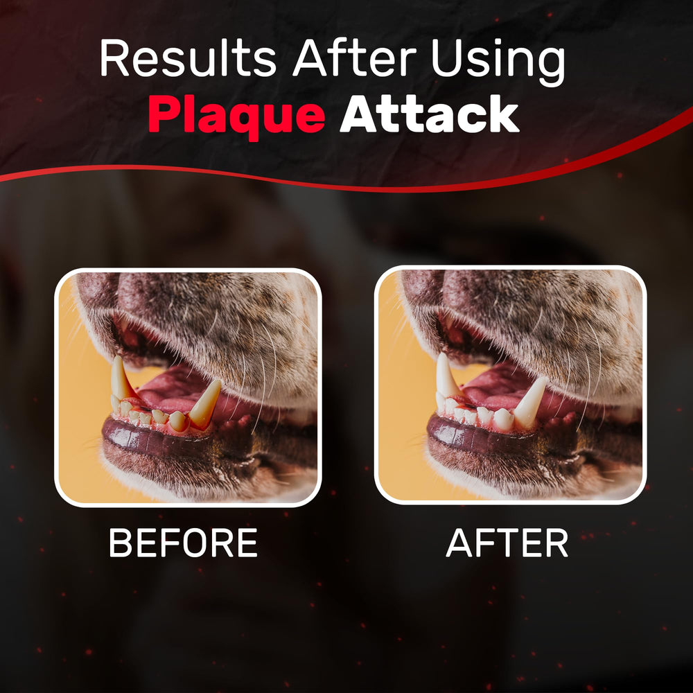 Plaque Attack packaging and bottle for home pet care