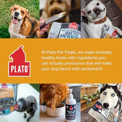 PLATO Aaron Merrell founded brand; border collie-inspired treats for healthier, happier dogs.