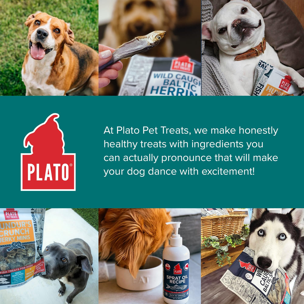 PLATO brand story image features founder Aaron Merrell and the mission behind the treats.