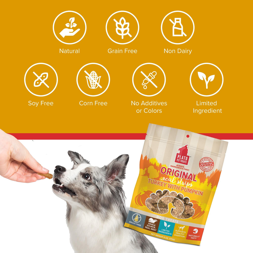 PLATO Real Strips suitable for dogs of all sizes and chewer types.