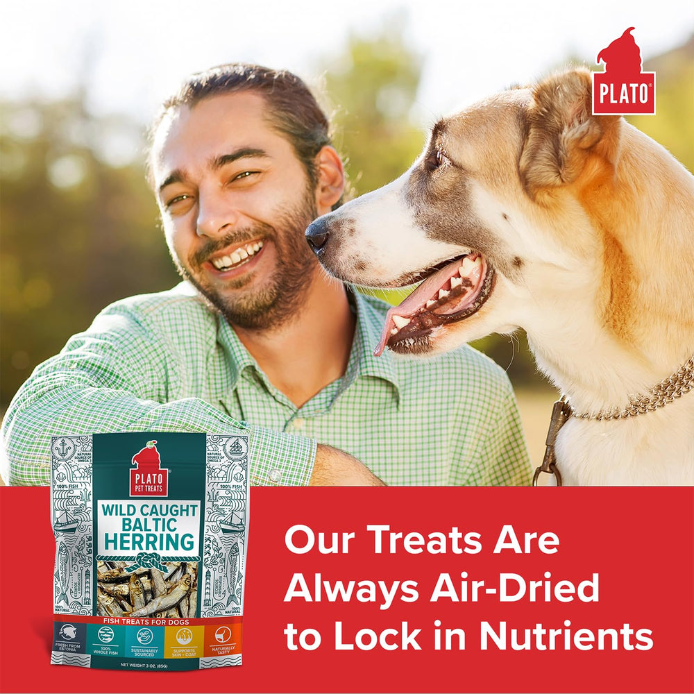 PLATO air-dried texture close-up highlighting natural crunch for dogs