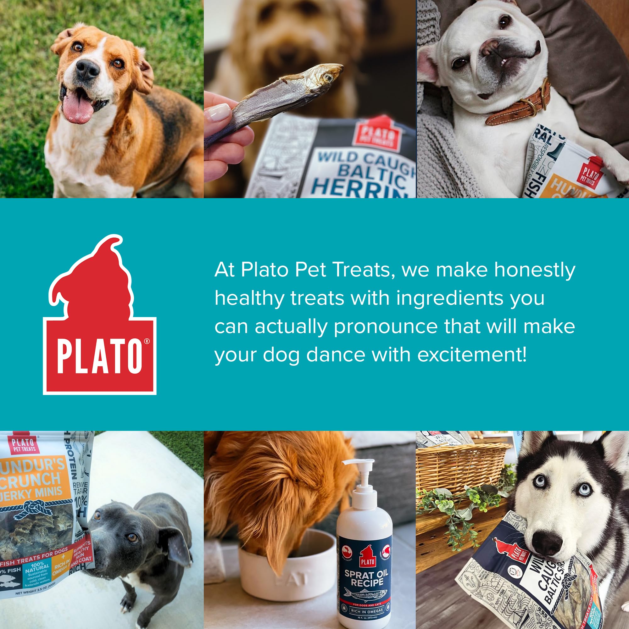 PLATO Hundur's Crunch Jerky Fingers all life stages dog treat.