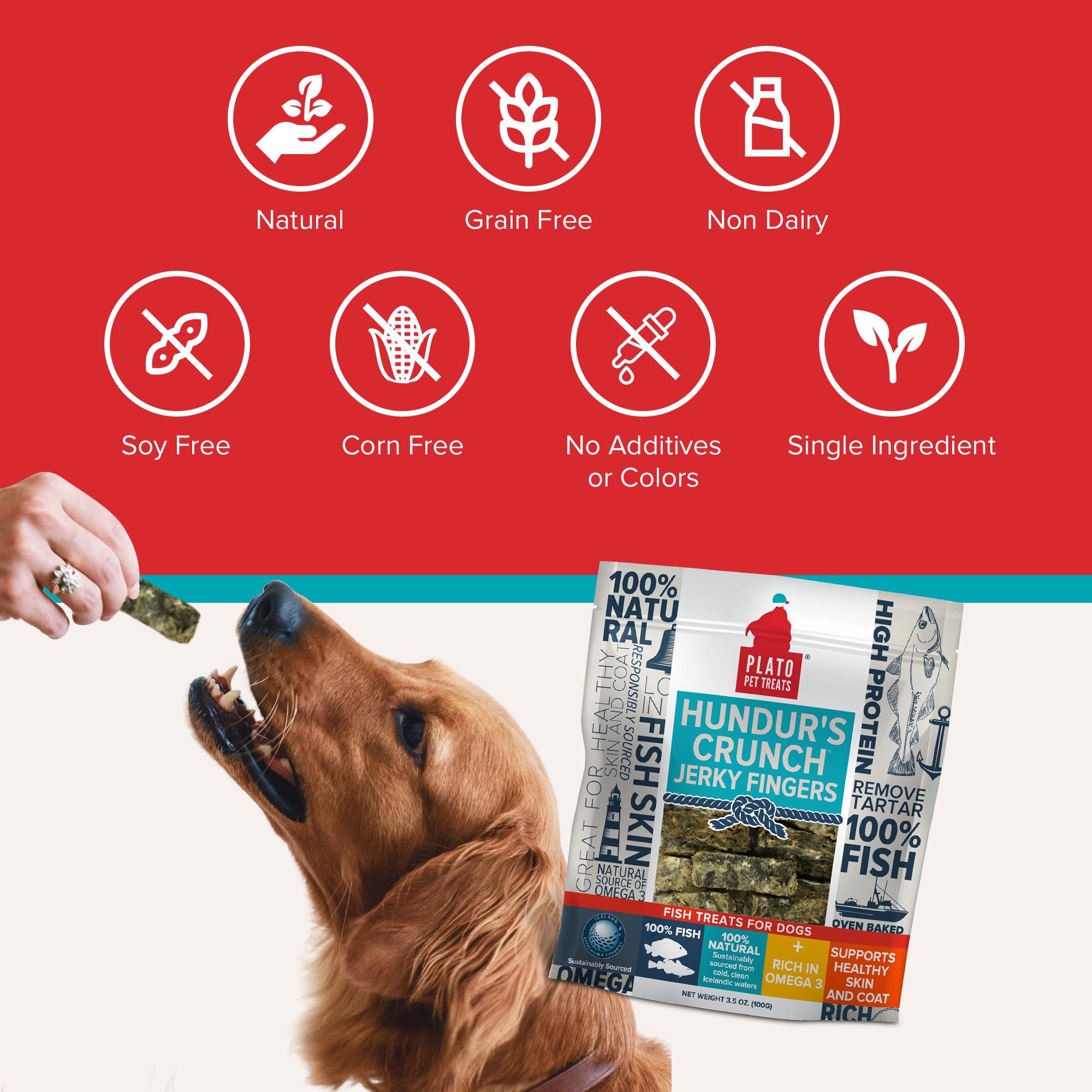 PLATO Hundur's Crunch Jerky Fingers grain-free cod skin snack.