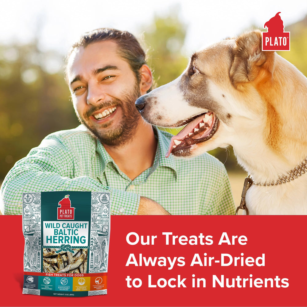 PLATO omega-3-6 rich formula graphic shows benefits for skin and coat health.